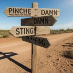 What Does Pinche Mean in English