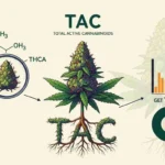 what does tac mean in weed